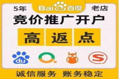 SEM代运营机构案例分析：优化策略与执行